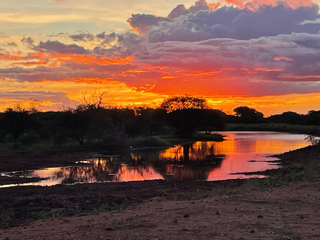 Dramatic bushveld sunset
