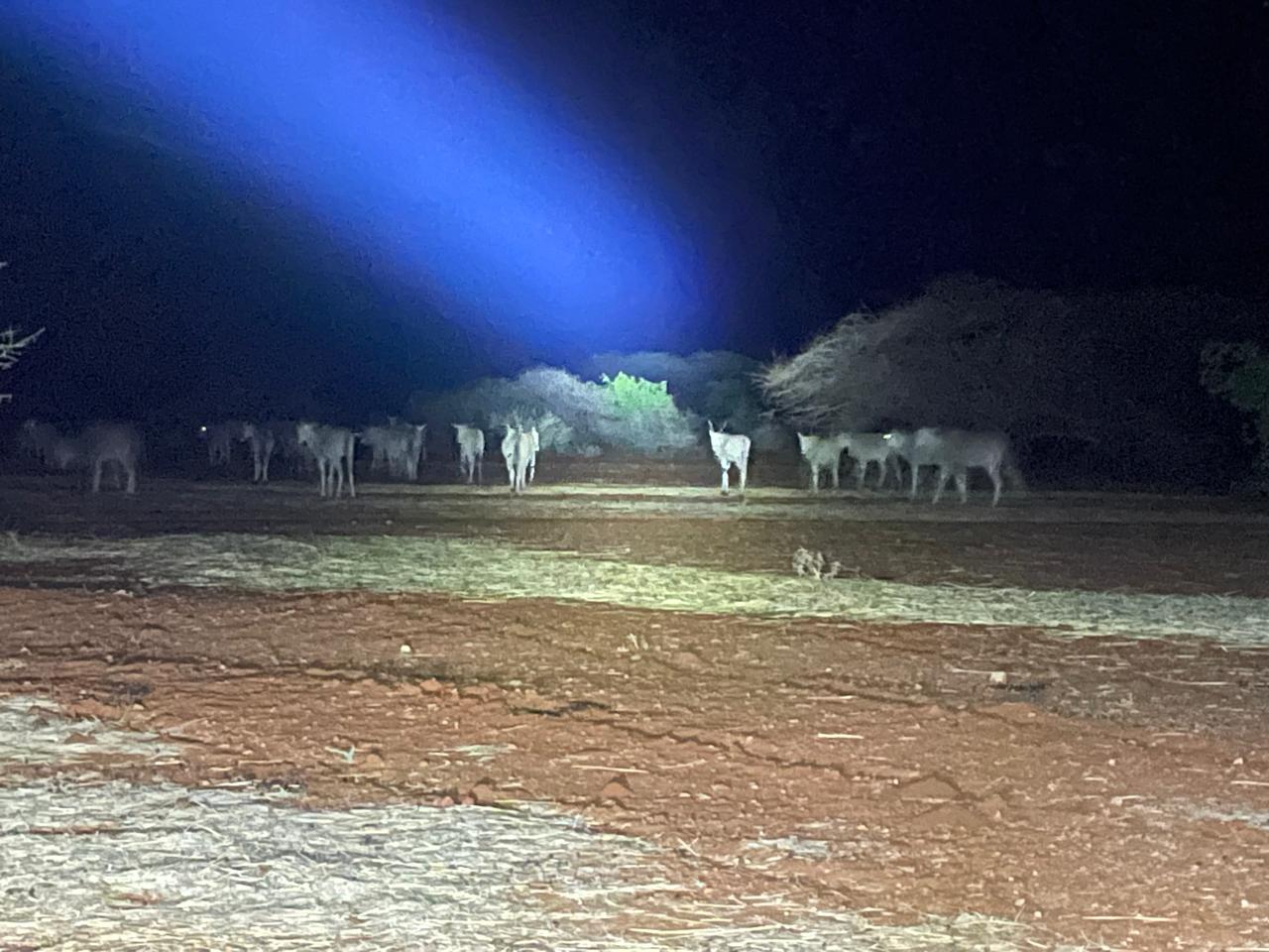 Looking north from the ridge
