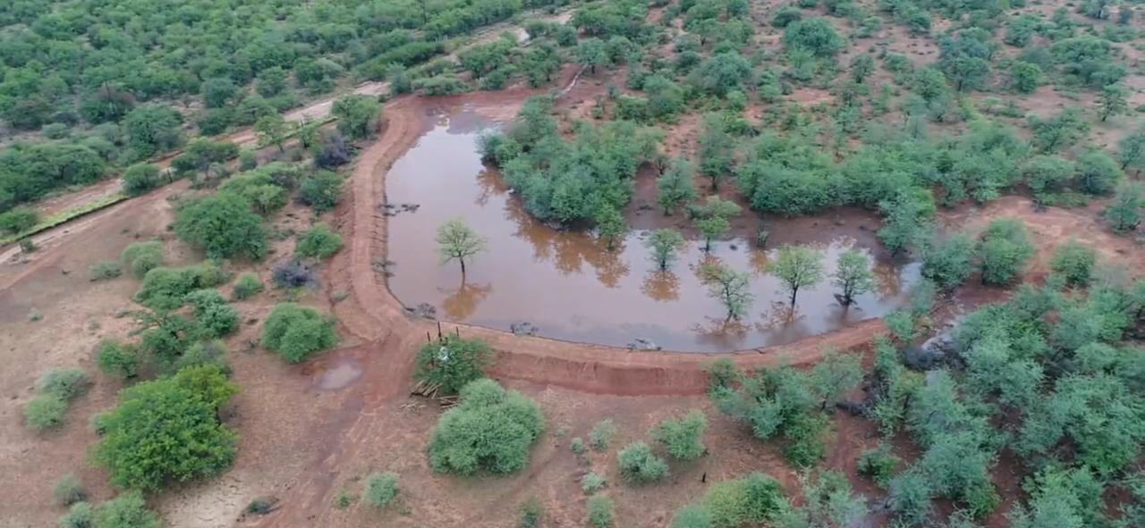 Waterhole from above