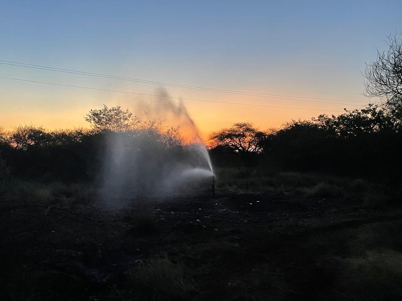Bushveld at first light