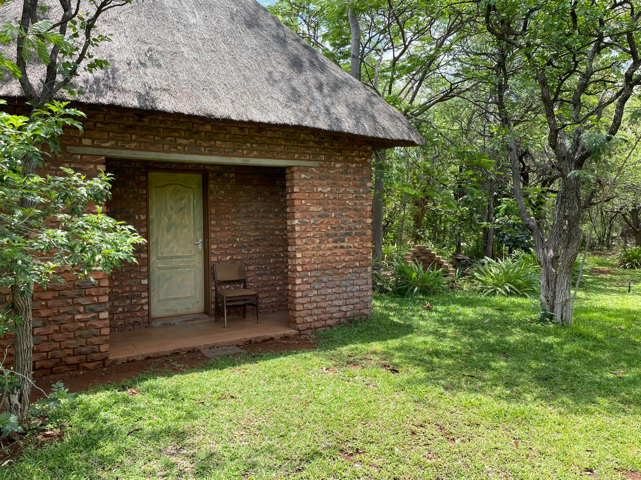 Eland drinking at dusk