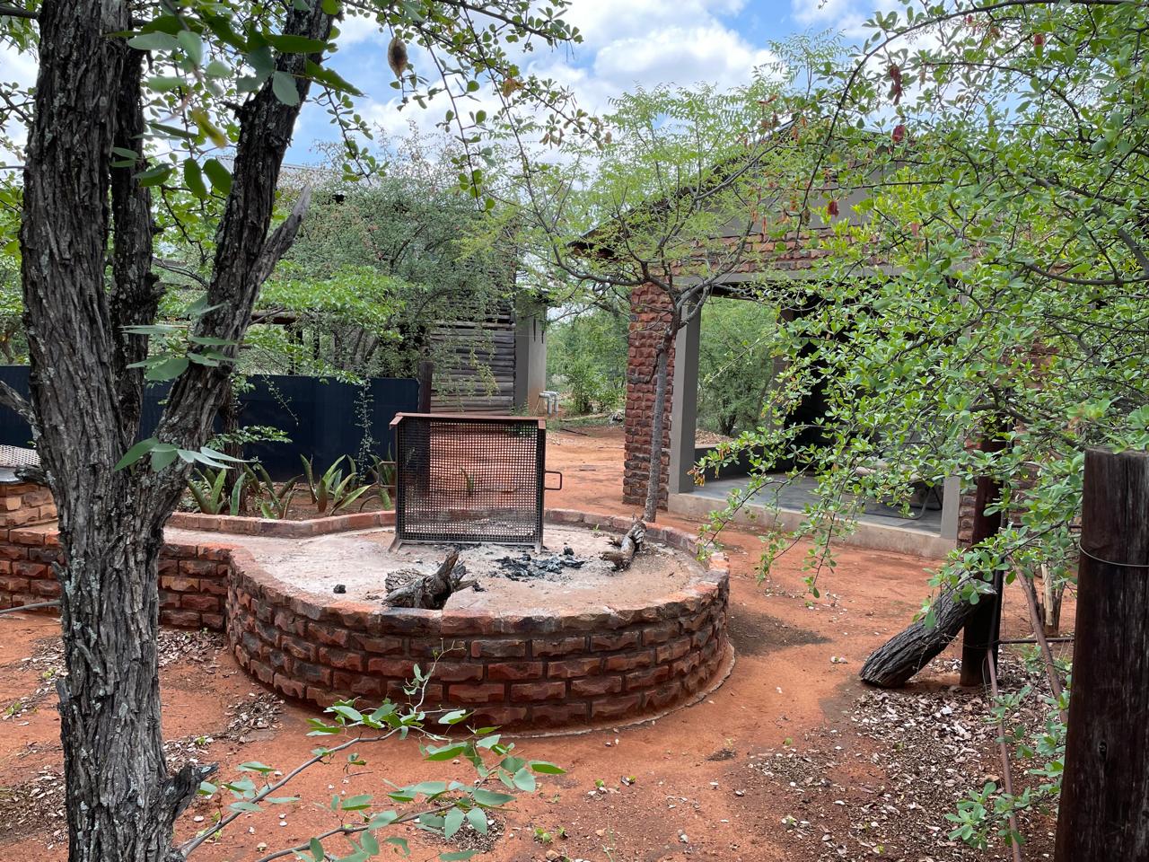 Aardvark caught on night-drive camera