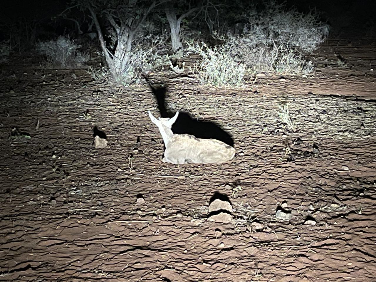 Brick chalet with private stoep