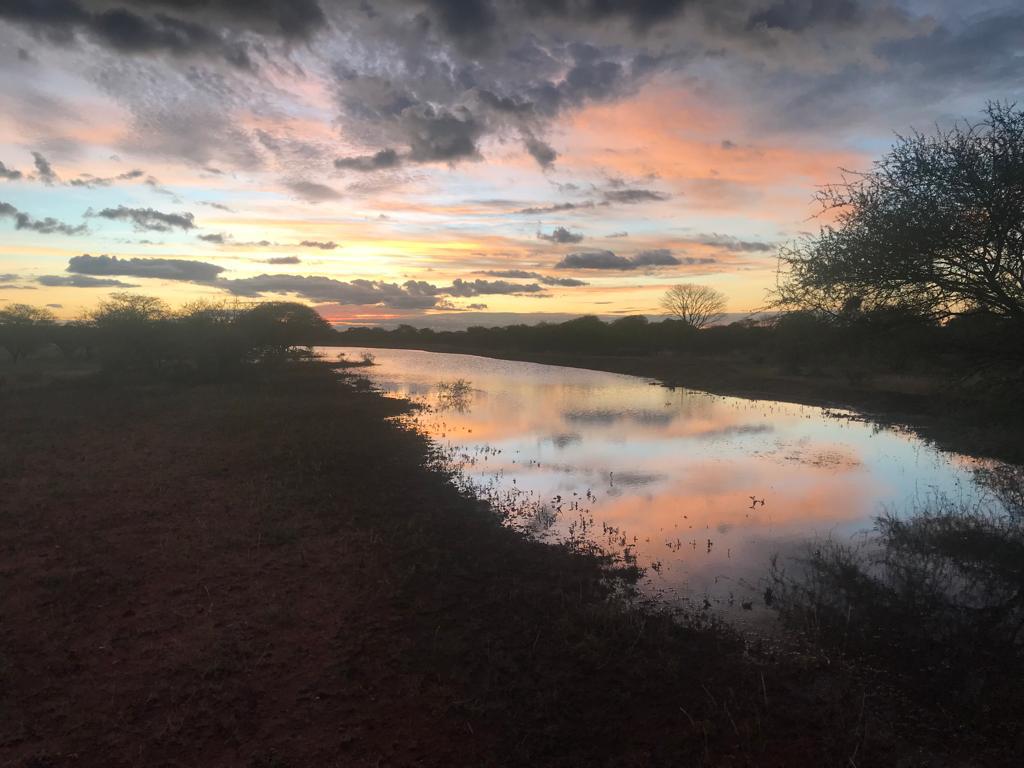 Sunset reflected on the pan