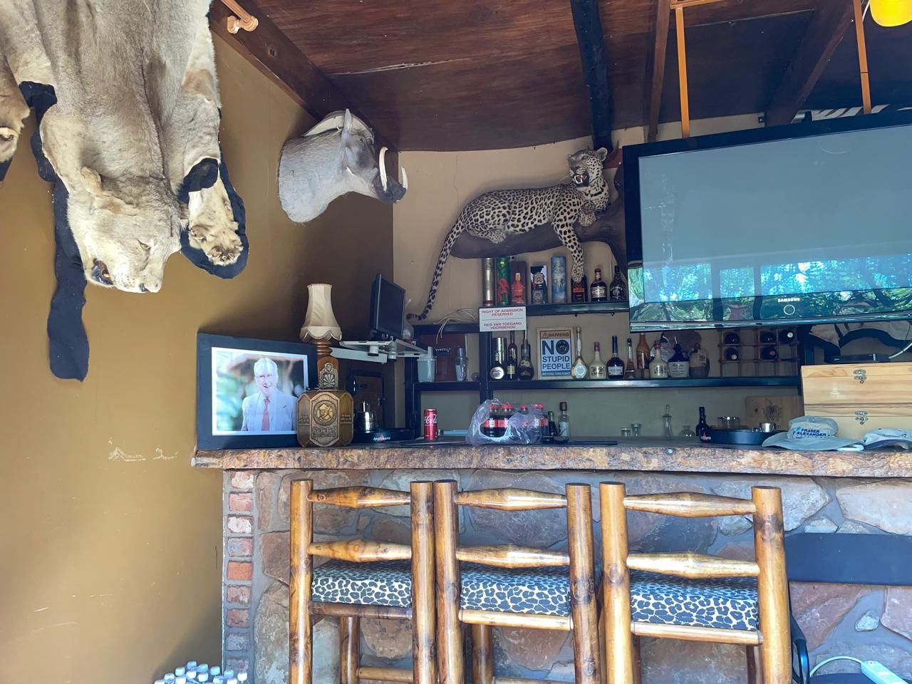 Wildebeest in golden dust